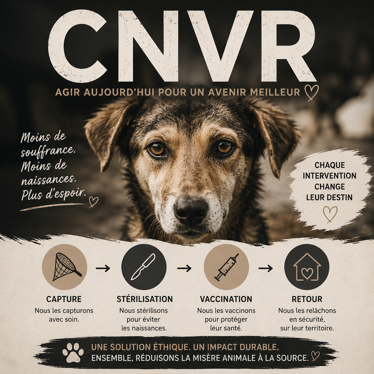 CNVR