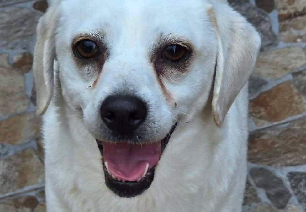 Sam